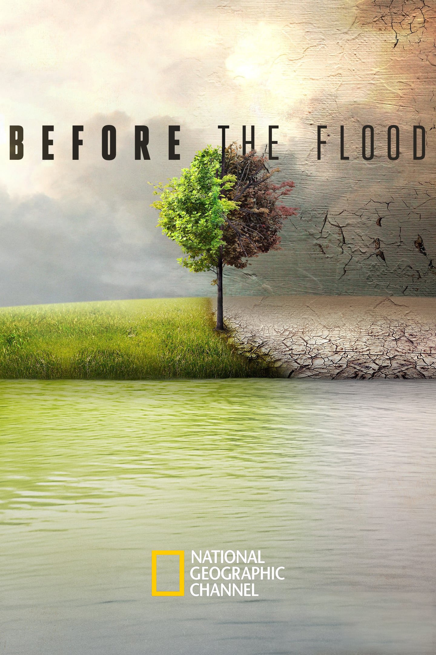 纪录片《洪水泛滥之前》（2016）